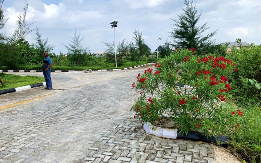 Land For Sale - Genesis Court Phase 3 Estate.